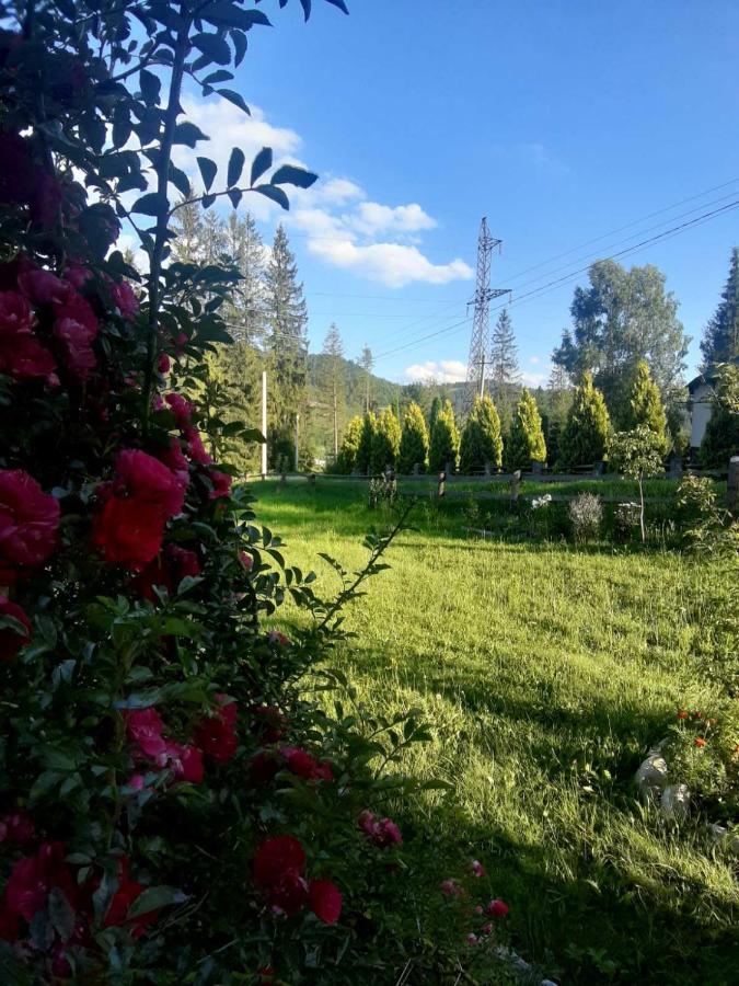 Родинна Оселя Slawske Exterior foto